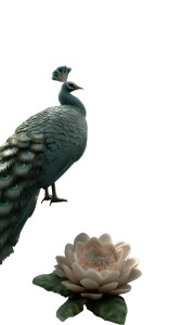 Majestic Peacock Jungle Vinyl Car Decal Sticker – Waterproof & UV-Resistant 