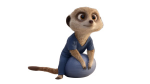 Exercising Meerkat Vinyl Car Decal Sticker – Waterproof & UV-Resistant 