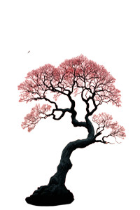 Apricot Tree Silhouette Vinyl Car Decal Sticker – Waterproof & UV-Resistant Apricot Tree Silhouette Vinyl Car Decal Sticker – Waterproof & UV-Resistant
