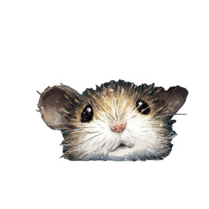 Illustrated Mouse Vinyl Car Decal Sticker – Waterproof & UV-Resistant Illustrated Mouse Vinyl Car Decal Sticker – Waterproof & UV-Resistant