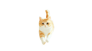 Dashing Cat Silhouettes Vinyl Car Decal Sticker – Waterproof & UV-Resistant Dashing Cat Silhouettes Vinyl Car Decal Sticker – Waterproof & UV-Resistant