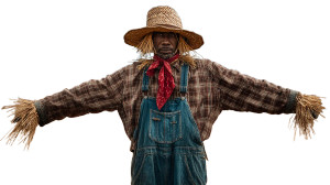 Scarecrow In Wheat Vinyl Car Decal Sticker – Waterproof & UV-Resistant 