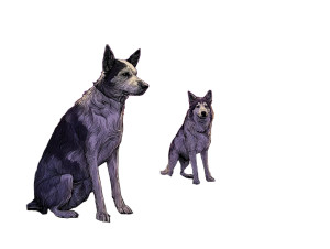 Desert Dogs Vinyl Car Decal Sticker – Waterproof & UV-Resistant 