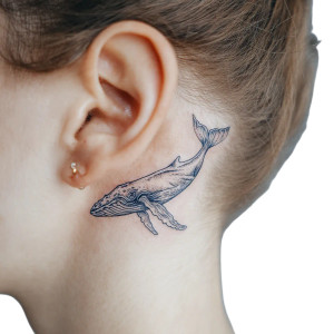 Whale Tattoo Sketch Vinyl Car Decal Sticker – Waterproof & UV-Resistant Whale Tattoo Sketch Vinyl Car Decal Sticker – Waterproof & UV-Resistant