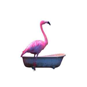 Pink Flamingo Bathtub V2 Vinyl Car Decal Sticker – Waterproof & UV-Resistant Pink Flamingo Bathtub V2 Vinyl Car Decal Sticker – Waterproof & UV-Resistant