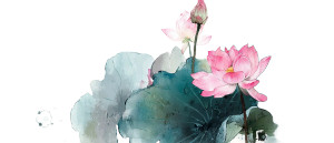 Pink Lotus Bloom V4 Vinyl Car Decal Sticker – Waterproof & UV-Resistant 