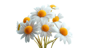 Chamomile Flowers Vinyl Car Decal Sticker – Waterproof & UV-Resistant Chamomile Flowers Vinyl Car Decal Sticker – Waterproof & UV-Resistant