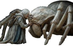 Elderly Spider Woman Vinyl Car Decal Sticker – Waterproof & UV-Resistant 