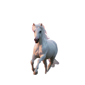Majestic Rainbow Horse Vinyl Car Decal Sticker – Waterproof & UV-Resistant Majestic Rainbow Horse Vinyl Car Decal Sticker – Waterproof & UV-Resistant
