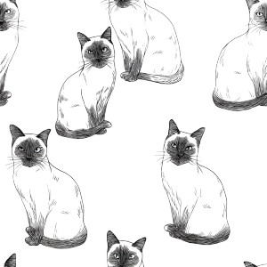 Siamese Cat Pattern Vinyl Car Decal Sticker – Waterproof & UV-Resistant Siamese Cat Pattern Vinyl Car Decal Sticker – Waterproof & UV-Resistant