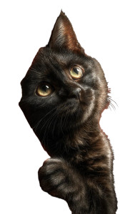 Sassy Theater Cat Vinyl Car Decal Sticker – Waterproof & UV-Resistant 