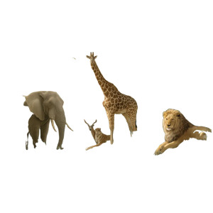 Safari Dreamscape Vinyl Car Decal Sticker – Waterproof & UV-Resistant 