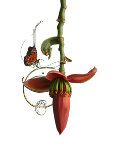 Surreal Banana Flower Vinyl Car Decal Sticker – Waterproof & UV-Resistant 