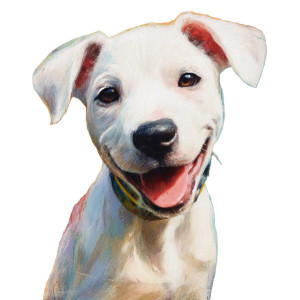 Cheerful Puppy Vinyl Car Decal Sticker – Waterproof & UV-Resistant Cheerful Puppy Vinyl Car Decal Sticker – Waterproof & UV-Resistant