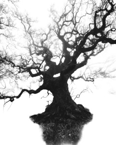 Gothic Oak Tree Vinyl Car Decal Sticker – Waterproof & UV-Resistant 