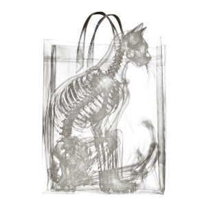 Xray Cat Bag Vinyl Car Decal Sticker – Waterproof & UV-Resistant 