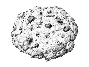 Cookie Illustration Vinyl Car Decal Sticker – Waterproof & UV-Resistant 