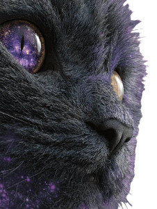 Cosmic Cat Creature Vinyl Car Decal Sticker – Waterproof & UV-Resistant 