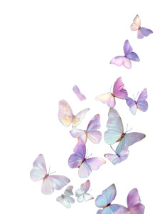 Pastel Butterflies Fluttering Vinyl Car Decal Sticker – Waterproof & UV-Resistant Pastel Butterflies Fluttering Vinyl Car Decal Sticker – Waterproof & UV-Resistant