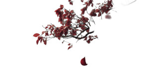 Cherry Blossom Branch V4 Vinyl Car Decal Sticker – Waterproof & UV-Resistant 