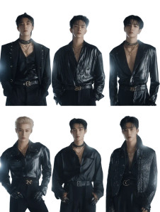 Leathercore K-Pop Stars Vinyl Car Decal Sticker – Waterproof & UV-Resistant 