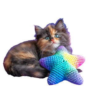 Galaxy Kitten Vinyl Car Decal Sticker – Waterproof & UV-Resistant 