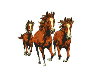 Running Arabian Horses Vinyl Car Decal Sticker – Waterproof & UV-Resistant Running Arabian Horses Vinyl Car Decal Sticker – Waterproof & UV-Resistant