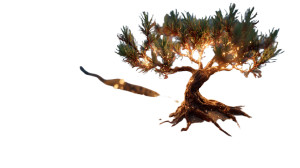 Glowing Desert Sapling Vinyl Car Decal Sticker – Waterproof & UV-Resistant 