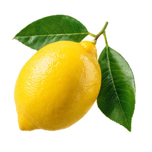 Lemon Vinyl Car Decal Sticker – Waterproof & UV-Resistant 