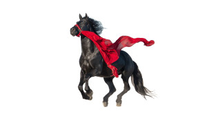 Black Wild Horse Vinyl Car Decal Sticker – Waterproof & UV-Resistant 