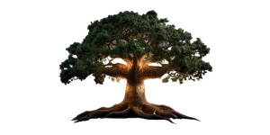 Majestic Bodhi Tree Vinyl Car Decal Sticker – Waterproof & UV-Resistant 