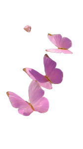 Pink Dreamy Butterflies Vinyl Car Decal Sticker – Waterproof & UV-Resistant Pink Dreamy Butterflies Vinyl Car Decal Sticker – Waterproof & UV-Resistant