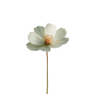 Minimalist Wildflower Vinyl Car Decal Sticker – Waterproof & UV-Resistant Minimalist Wildflower Vinyl Car Decal Sticker – Waterproof & UV-Resistant