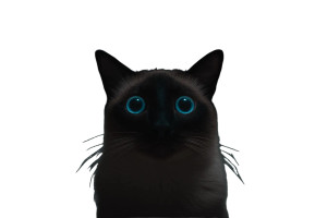 Siamese Cat V3 Vinyl Car Decal Sticker – Waterproof & UV-Resistant Siamese Cat V3 Vinyl Car Decal Sticker – Waterproof & UV-Resistant