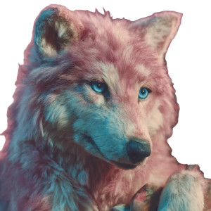 Cute Stuffed Wolf Vinyl Car Decal Sticker – Waterproof & UV-Resistant 