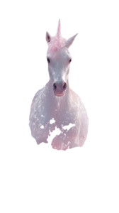 Magical Unicorn Ocean Vinyl Car Decal Sticker – Waterproof & UV-Resistant  Magical Unicorn Ocean Vinyl Car Decal Sticker – Waterproof & UV-Resistant