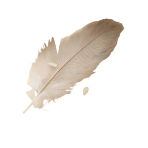Soft Organic Feather Vinyl Car Decal Sticker – Waterproof & UV-Resistant 