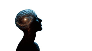 Mystical Brain Tuning Vinyl Car Decal Sticker – Waterproof & UV-Resistant Mystical Brain Tuning Vinyl Car Decal Sticker – Waterproof & UV-Resistant