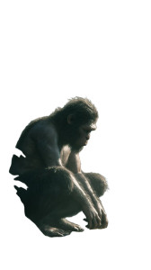 Early Hominid Vinyl Car Decal Sticker – Waterproof & UV-Resistant 