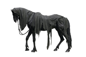 Nazgul Horse Vinyl Car Decal Sticker – Waterproof & UV-Resistant Nazgul Horse Vinyl Car Decal Sticker – Waterproof & UV-Resistant