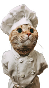 Epic Chef Cat Vinyl Car Decal Sticker – Waterproof & UV-Resistant 