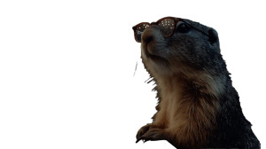 Marmot Inspects Tickets Vinyl Car Decal Sticker – Waterproof & UV-Resistant 