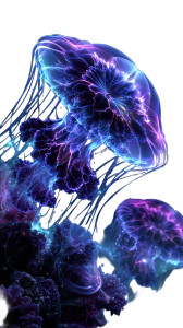 Bioluminescent Marine Life V3 Vinyl Car Decal Sticker – Waterproof & UV-Resistant 