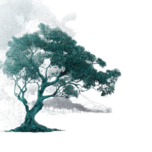 Mangrove Tree Drawing Vinyl Car Decal Sticker – Waterproof & UV-Resistant 