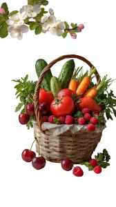 Seasonal Fruit Basket Vinyl Car Decal Sticker – Waterproof & UV-Resistant Seasonal Fruit Basket Vinyl Car Decal Sticker – Waterproof & UV-Resistant