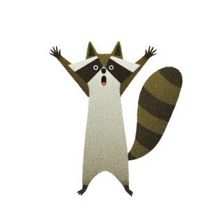 Surprised Raccoon Vinyl Car Decal Sticker – Waterproof & UV-Resistant 