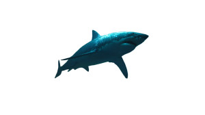 Prehistoric Megalodon Scene Vinyl Car Decal Sticker – Waterproof & UV-Resistant 