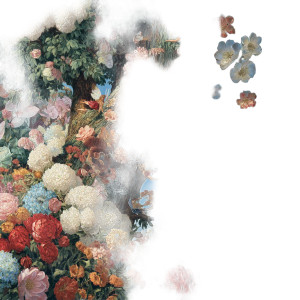 Flying Fairies Vinyl Car Decal Sticker – Waterproof & UV-Resistant 