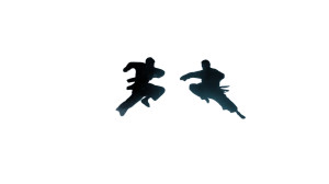 Martial Arts Clash Vinyl Car Decal Sticker – Waterproof & UV-Resistant Martial Arts Clash Vinyl Car Decal Sticker – Waterproof & UV-Resistant