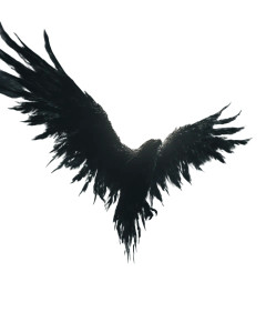 Giant Thunderbird Vinyl Car Decal Sticker – Waterproof & UV-Resistant 